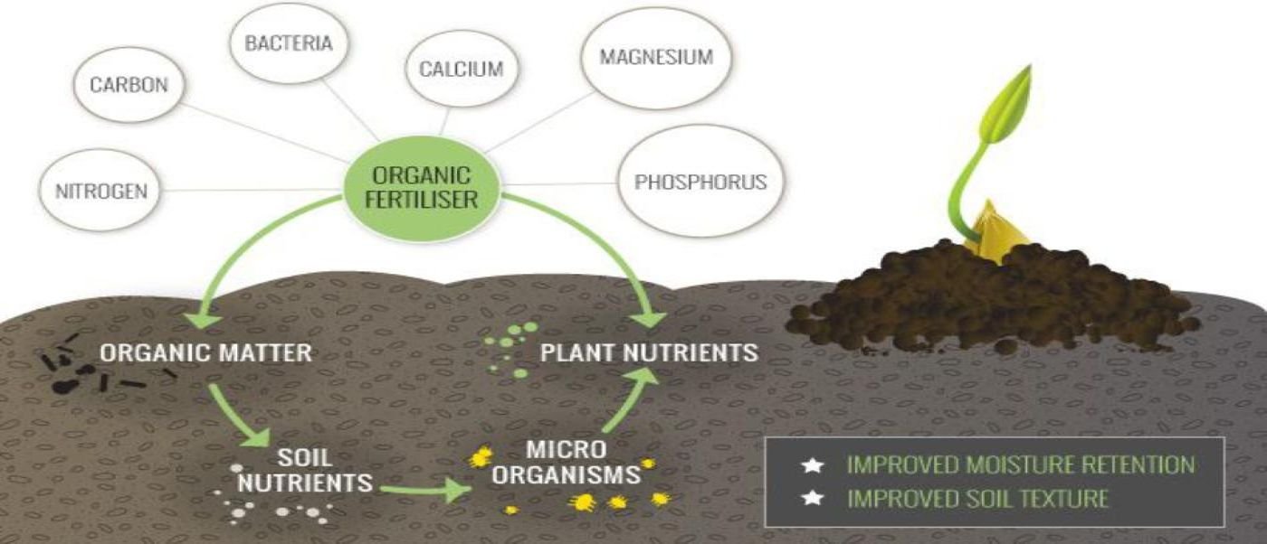 Compost