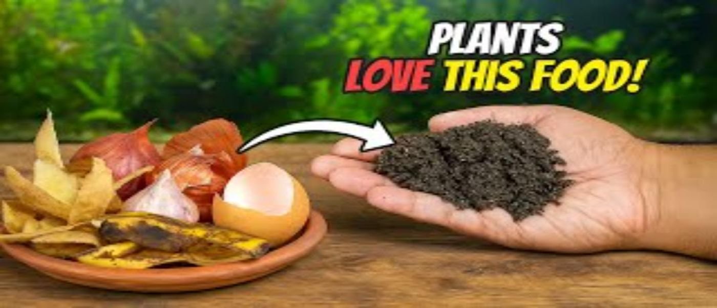 Compost