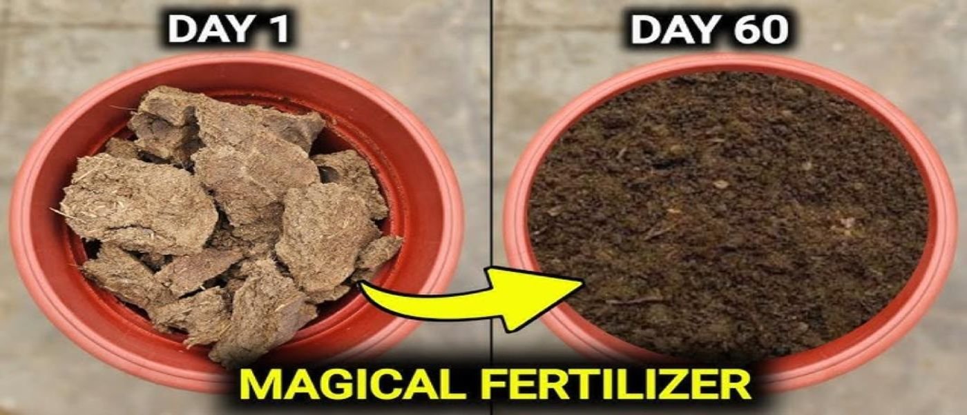 Compost