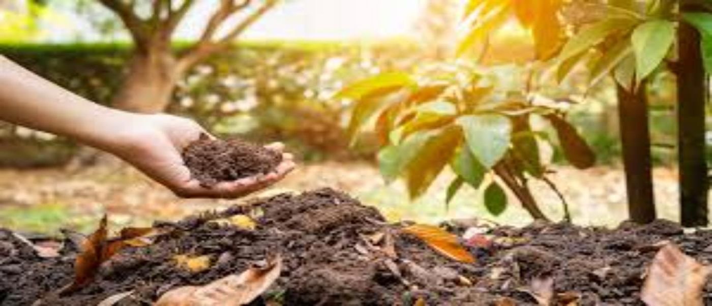 Compost
