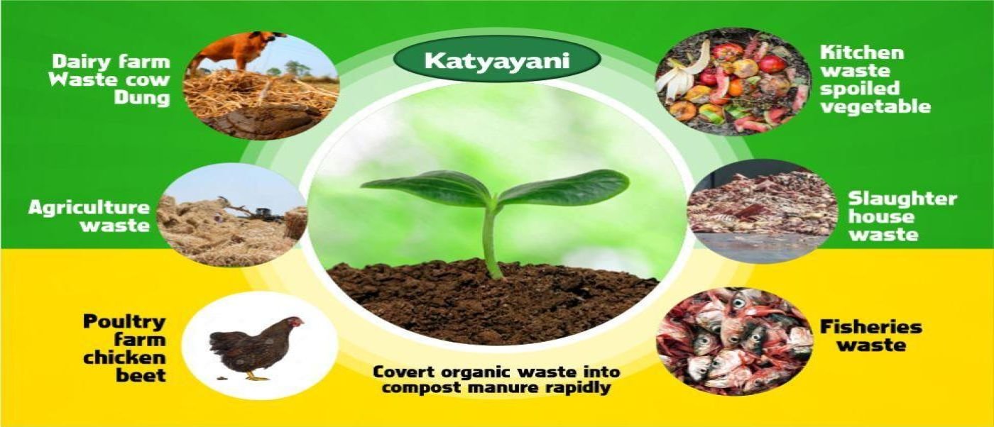Compost